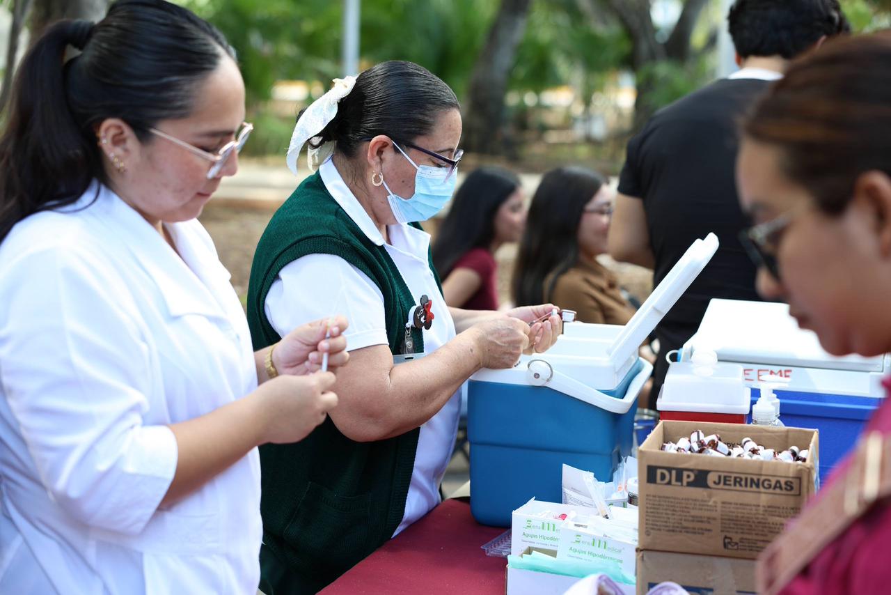 uploads/6/32/01 (2801).Jpeg